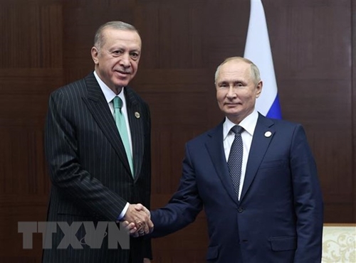 Xuất khẩu ngũ cốc qua Biển Đen: Tổng thống Nga, Thổ Nhĩ Kỳ quyết định hội đàm vào ngày 4-9